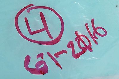 Bad to the Bone Pendant with 18 Inch Chain Both in .925 Solid Silver Necklace