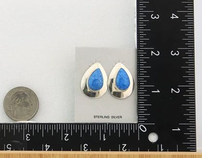 Navajo Dangle Earrings Sterling Silver Denim Lapis Vintage Signed RWJ