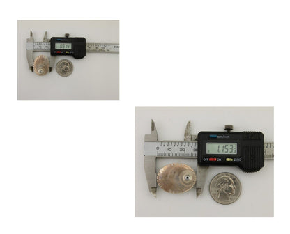 Navajo Earrings 925 Silver Mine 8 Turquoise Native American Artist C.80's